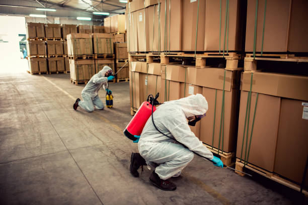 Best Pest Control for Businesses  in Devola, OH