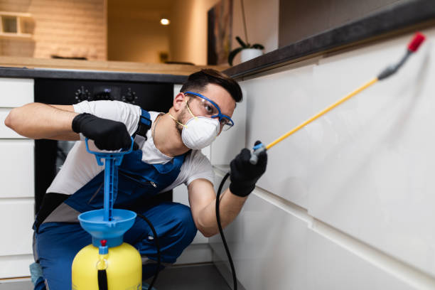 Best Affordable Exterminators  in Devola, OH