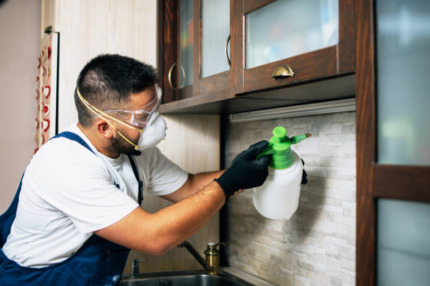 Best Pest Prevention Services  in Devola, OH