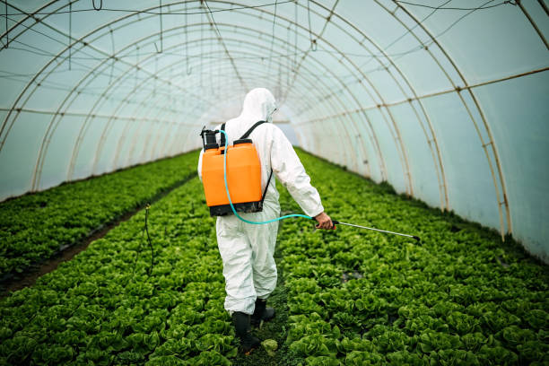 Best Best Pest Control Near Me  in Devola, OH