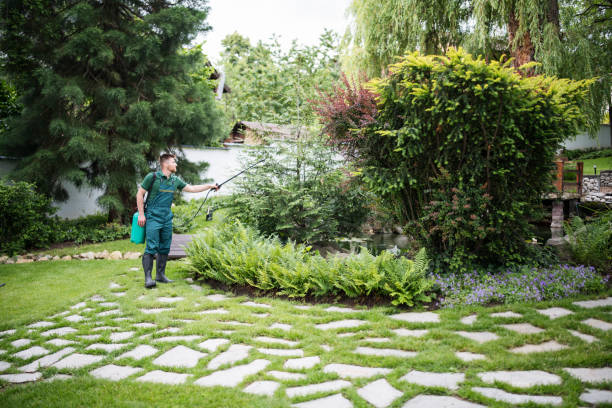 Best Local Pest Control Services  in Devola, OH