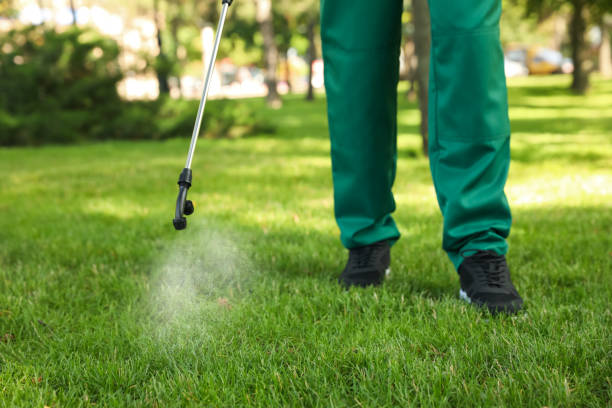 Best Pest Control Treatment  in Devola, OH