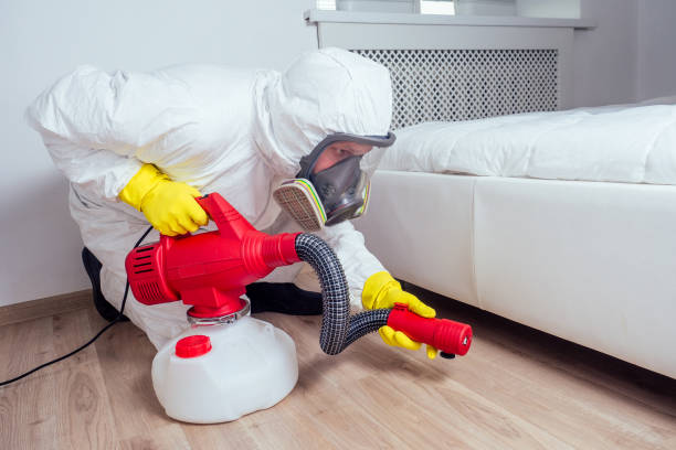 Best Flea Control Services  in Devola, OH