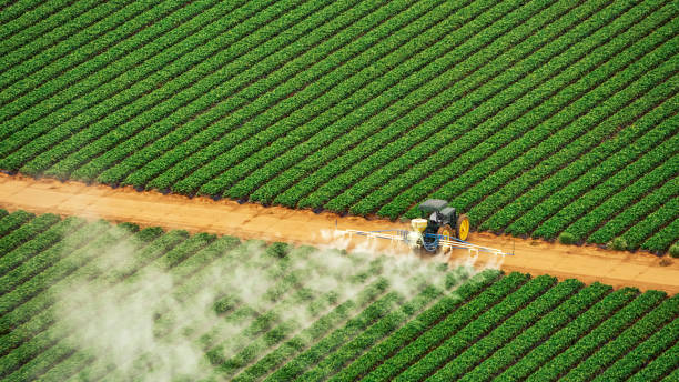 Best Pest Removal Services  in Devola, OH