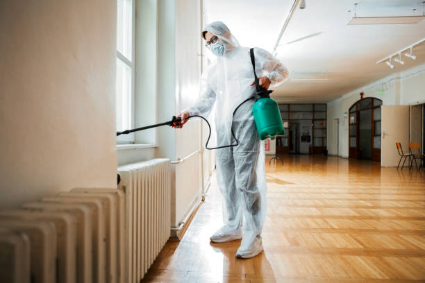 Best Affordable Pest Control Services  in Devola, OH